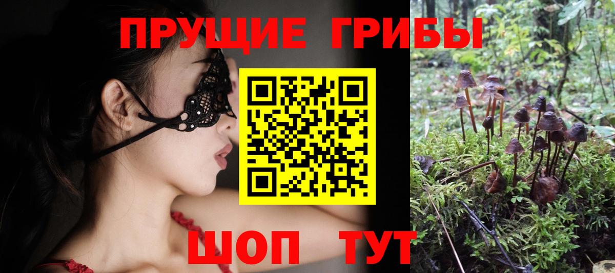 Ликино-Дулёво  Галлюциногенные грибы ЛСД  Вход с VPN 